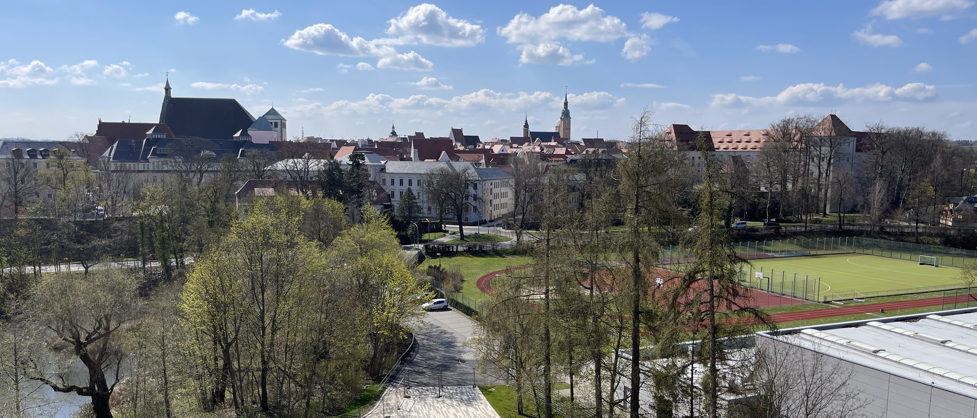View over Freiberg, Saxony