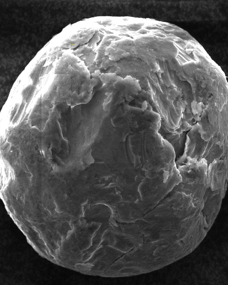 Micrograph of FCP-20 particles