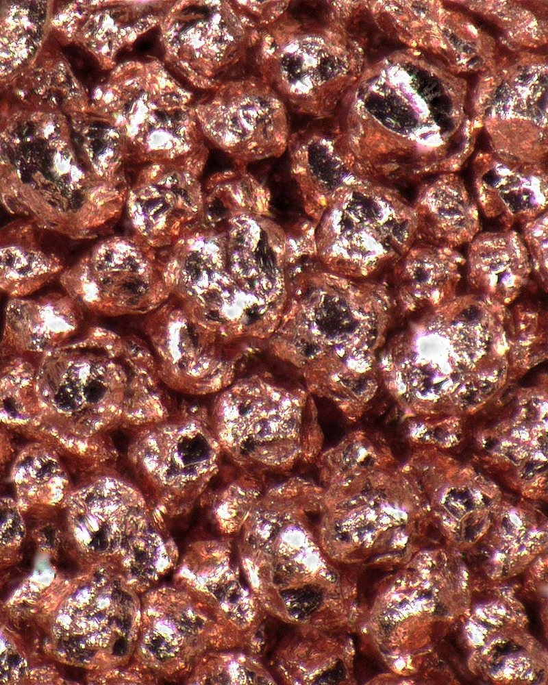Micrograph of FCP-AM particles